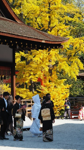 f:id:BobosuBlog:20161112195202j:image