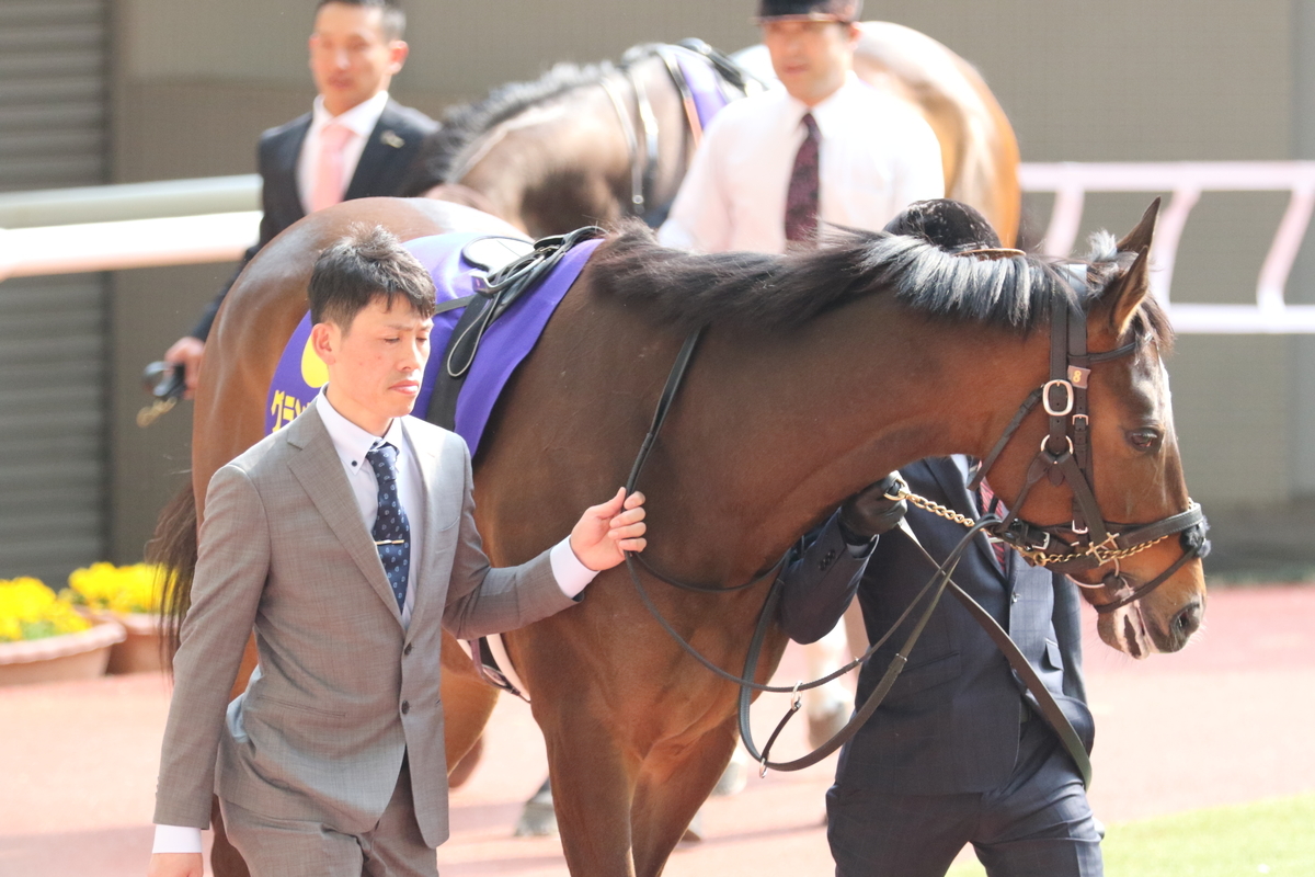 桜花賞 2019年 - VISTA's Blog