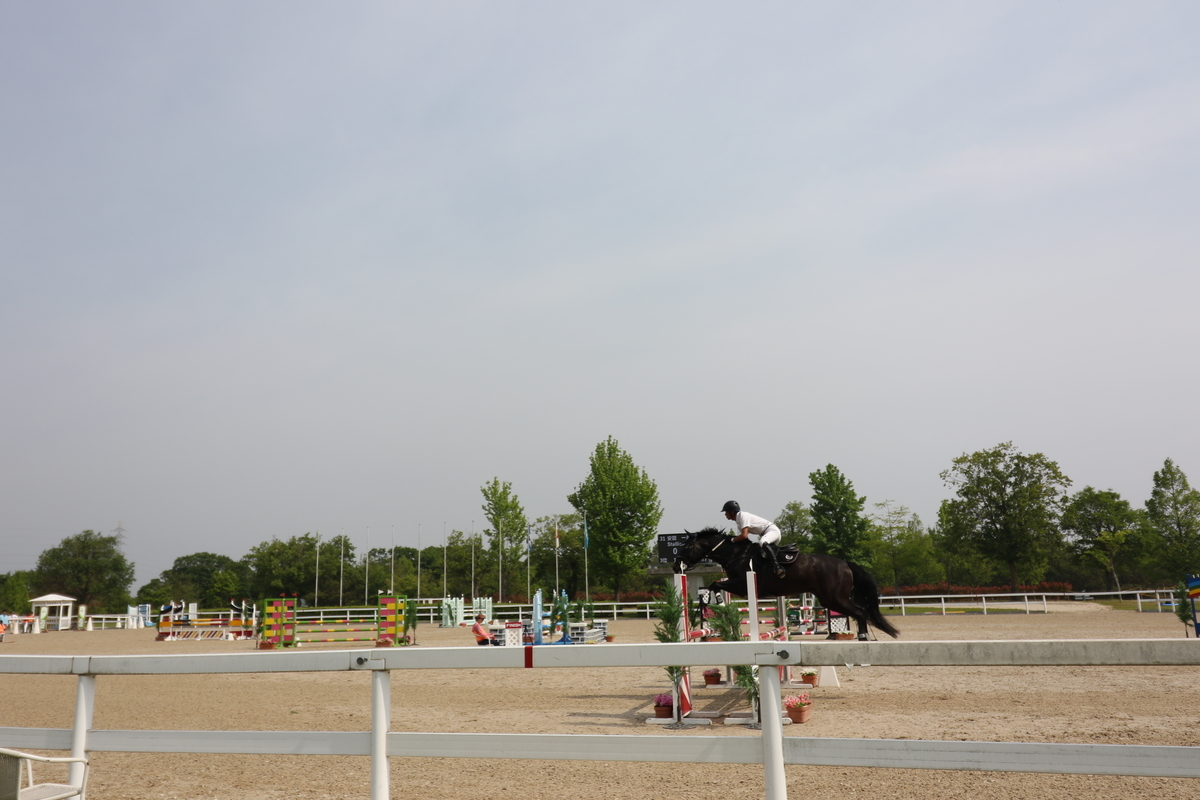 f:id:Boc_VISTA:20190529215037j:plain
