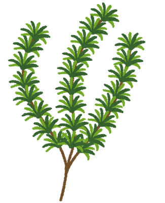 f:id:Boke-Boke:20190412211542p:plain f:id:Boke-Boke:20190412211542p:plain