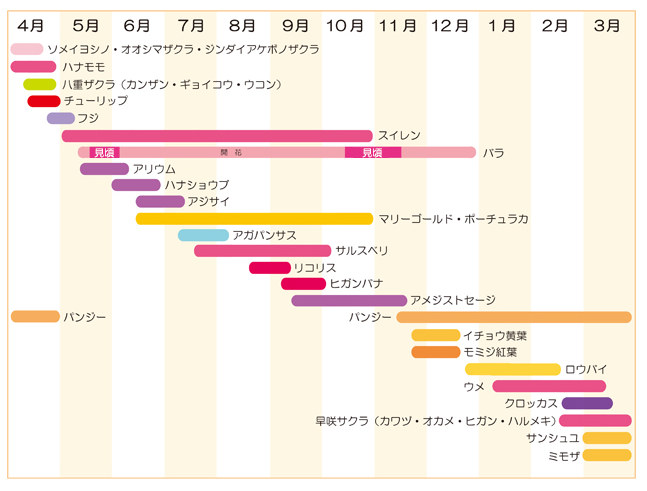 f:id:Boke-Boke:20190426211248p:plain