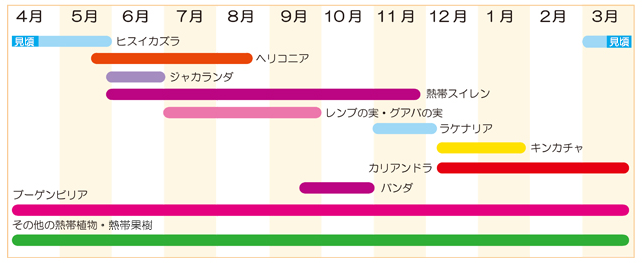 f:id:Boke-Boke:20190426211312p:plain