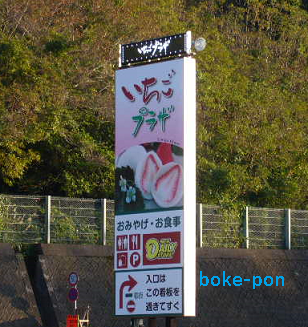 f:id:Boke-Boke:20191118172018p:plain f:id:Boke-Boke:20191118172018p:plain