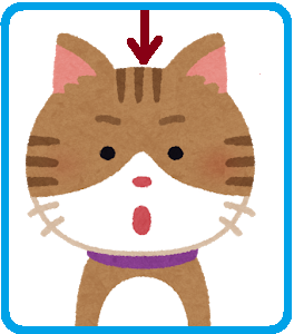 f:id:Boke-Boke:20191126194825p:plain f:id:Boke-Boke:20191126194825p:plain