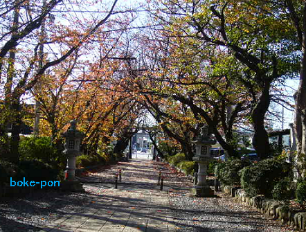f:id:Boke-Boke:20191202161959p:plain