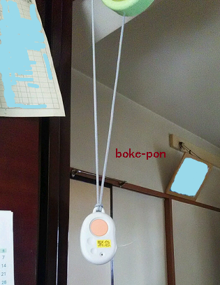 f:id:Boke-Boke:20191205200221p:plain