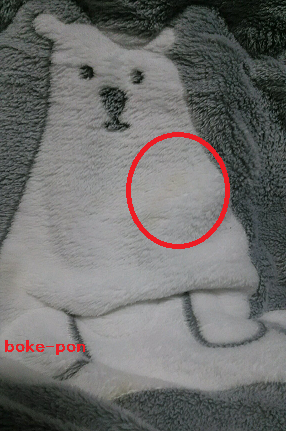f:id:Boke-Boke:20210106173134p:plain