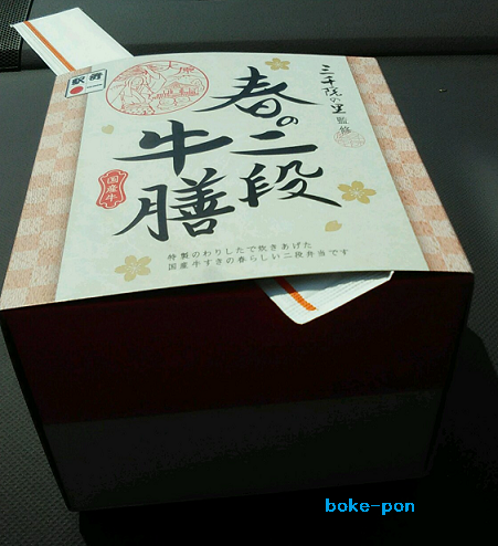 f:id:Boke-Boke:20210327163519p:plain