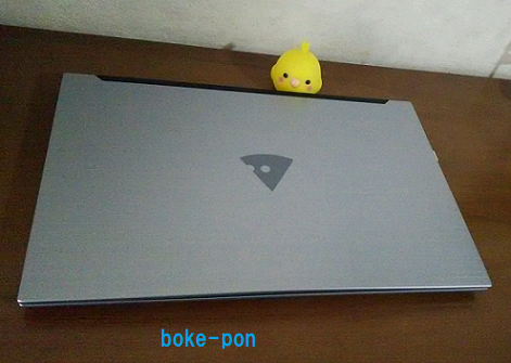 f:id:Boke-Boke:20211025114010p:plain