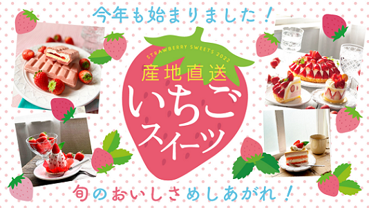 f:id:Boke-Boke:20220114125852p:plain