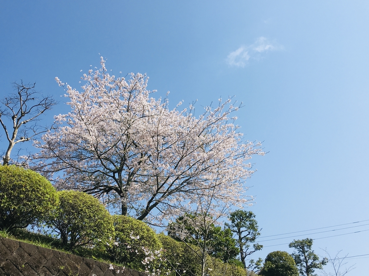 f:id:Bokutaro:20200521094005j:plain