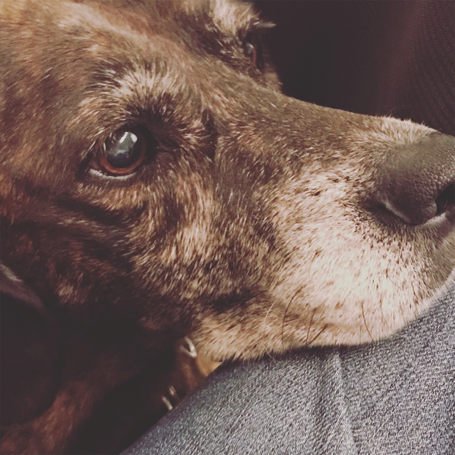 f:id:Bonsai500:20211030205225j:image