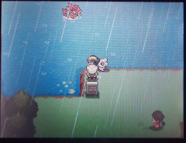 ポケモン日記 ソウルシルバー8 ぶーちゃんの戯言