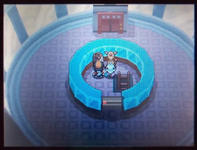 ポケモン日記 ソウルシルバー13 ぶーちゃんの戯言