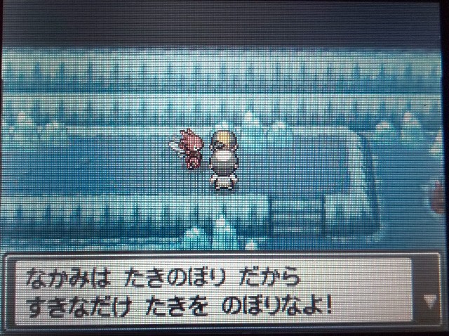 ポケモン日記 ソウルシルバー18 ぶーちゃんの戯言