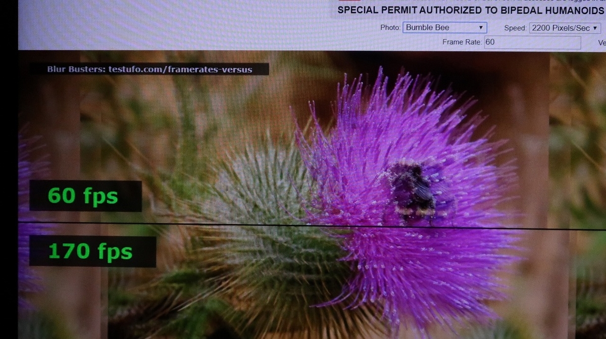 f:id:BooStudio:20200216213515j:plain f:id:BooStudio:20200216213515j:plain