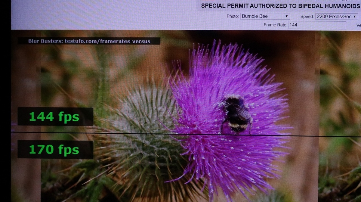 f:id:BooStudio:20200216213620j:plain f:id:BooStudio:20200216213620j:plain