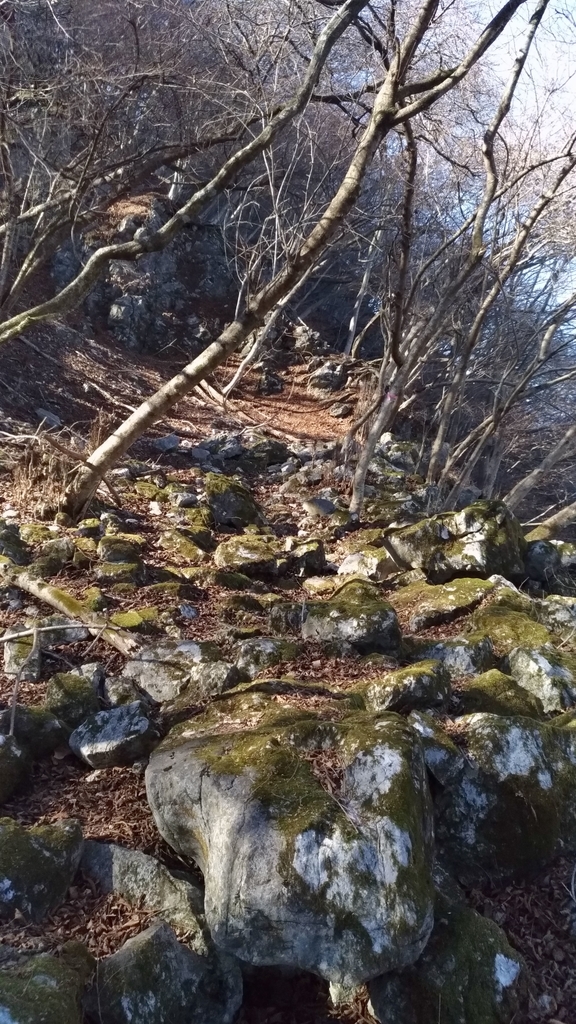 f:id:Boox:20190307110443j:plain f:id:Boox:20190307110443j:plain