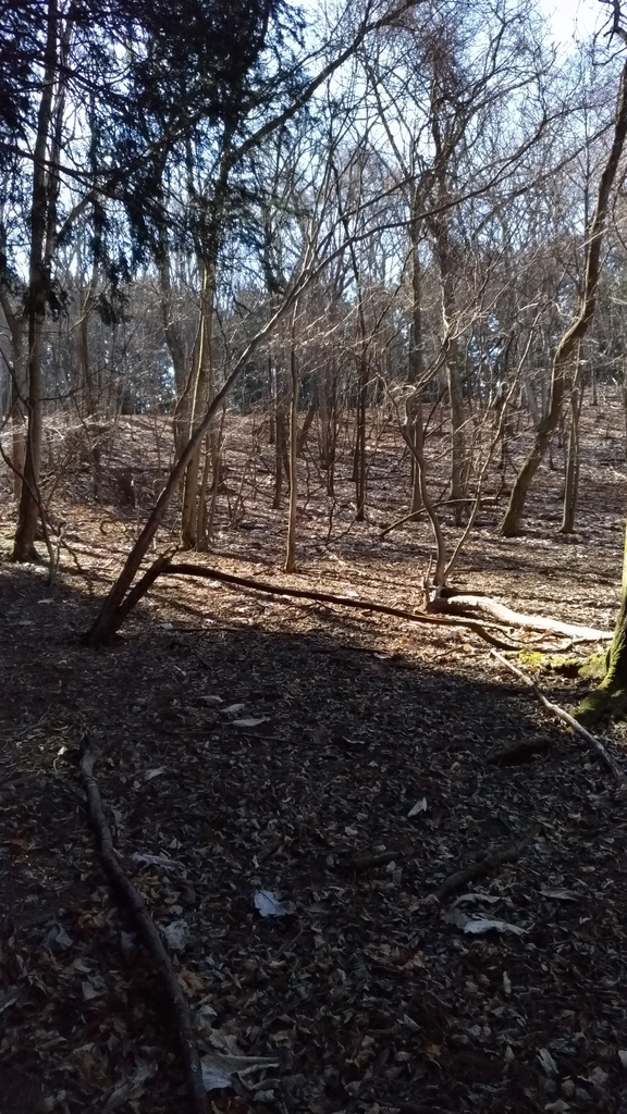 f:id:Boox:20190307114021j:plain f:id:Boox:20190307114021j:plain