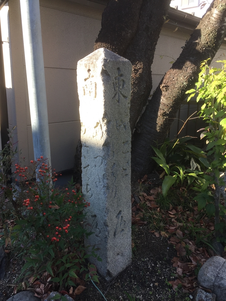 f:id:BorderCollieLeon:20201121170838j:plain