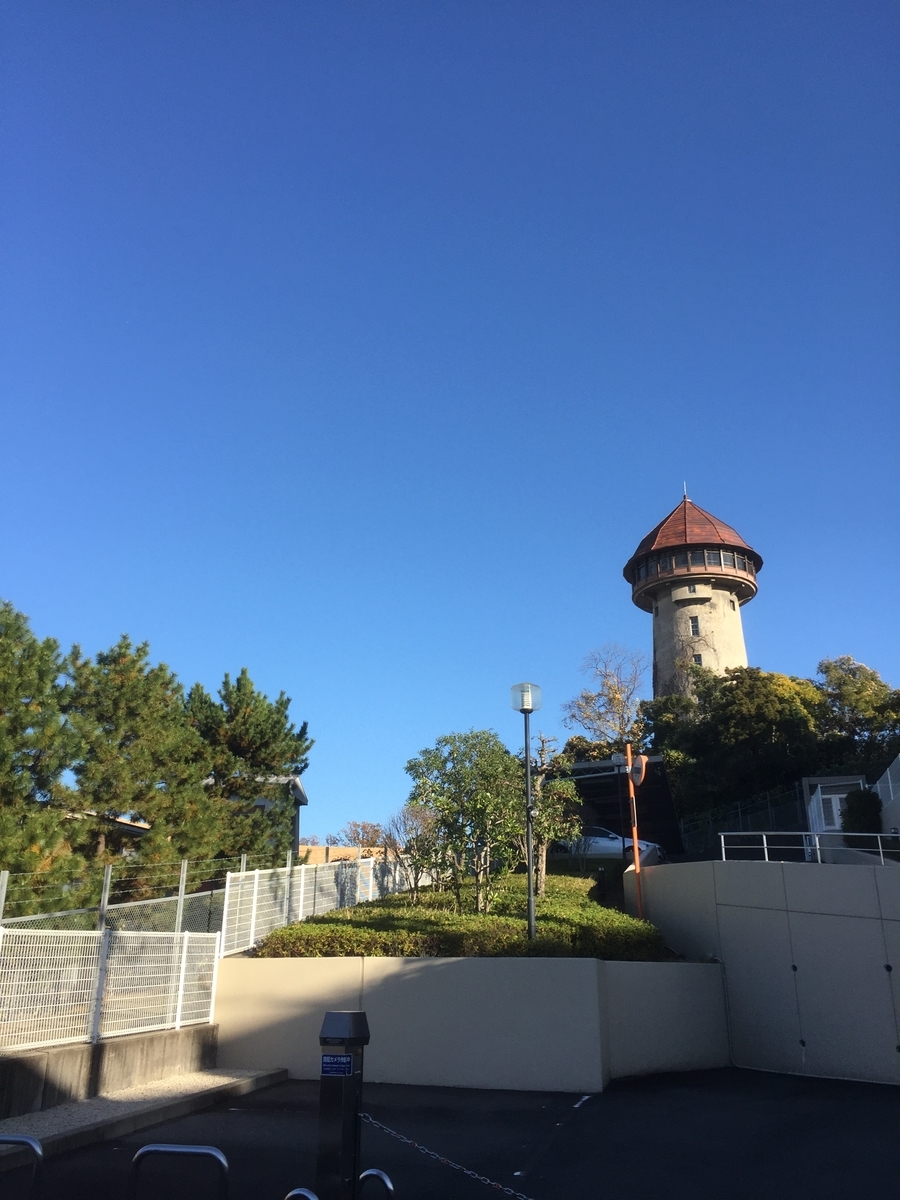 f:id:BorderCollieLeon:20201121171445j:plain