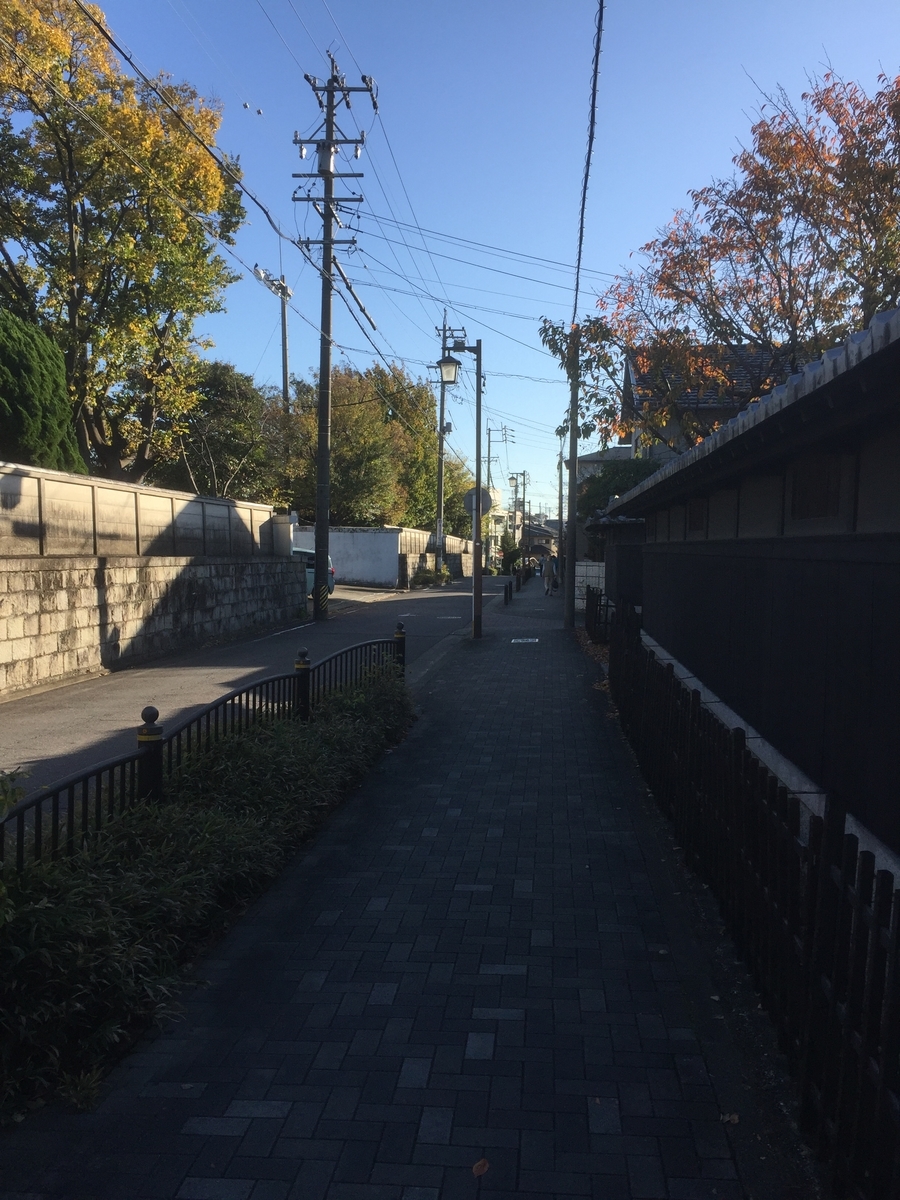 f:id:BorderCollieLeon:20201121171830j:plain