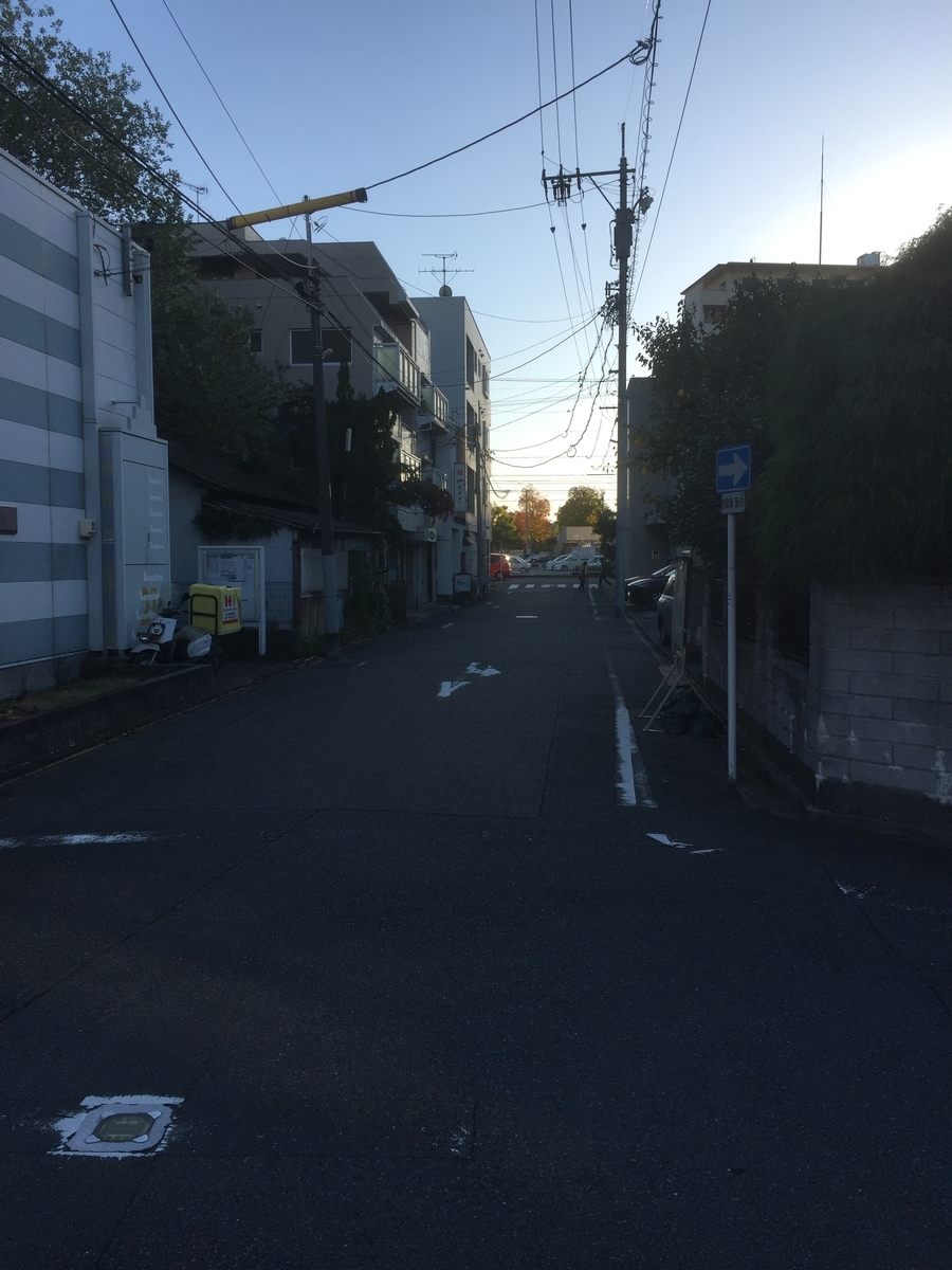 f:id:BorderCollieLeon:20201121174229j:plain