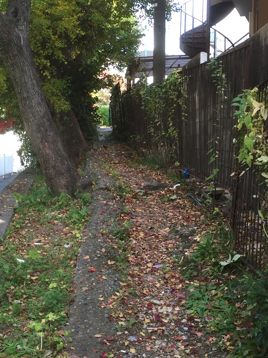 f:id:BorderCollieLeon:20201123120755j:plain