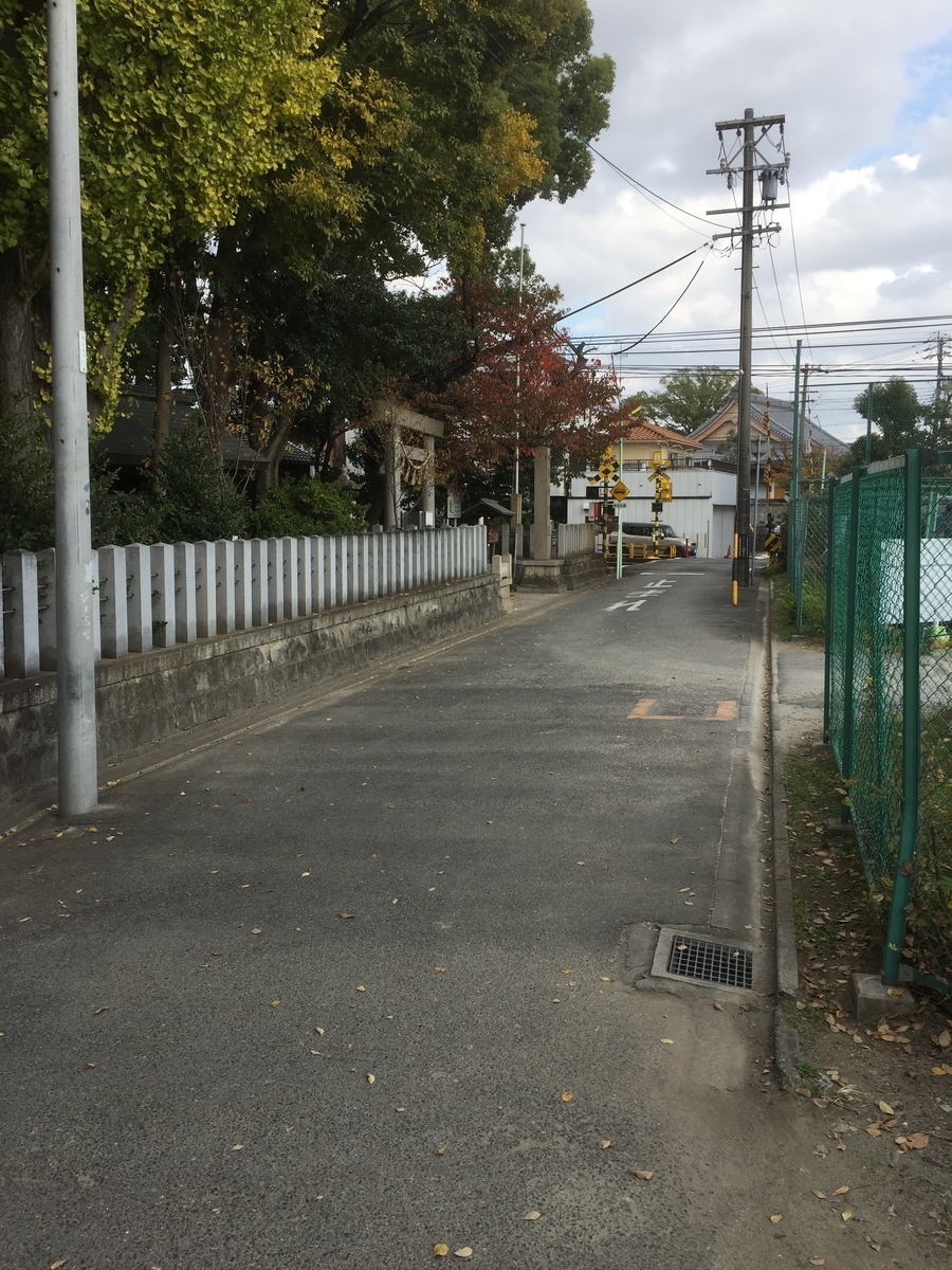 f:id:BorderCollieLeon:20201123122018j:plain