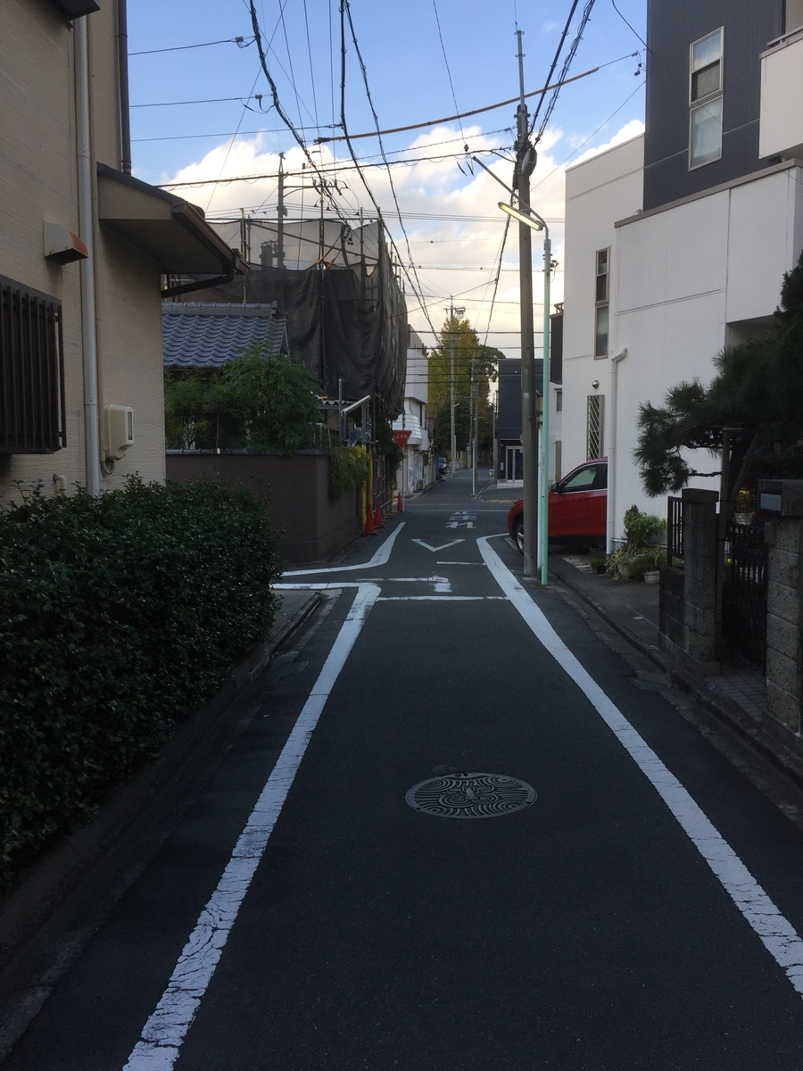 f:id:BorderCollieLeon:20201123132707j:plain