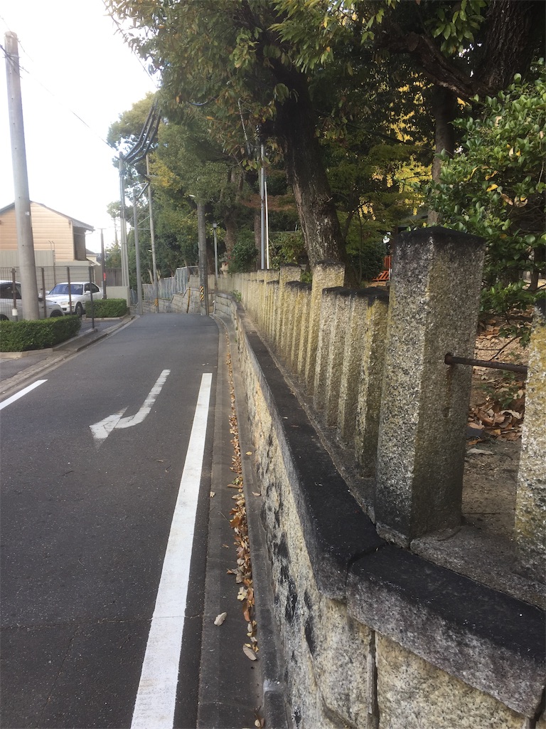 f:id:BorderCollieLeon:20201128113758j:image f:id:BorderCollieLeon:20201128113758j:image