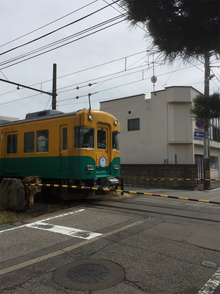 f:id:BorderCollieLeon:20210703170413j:image