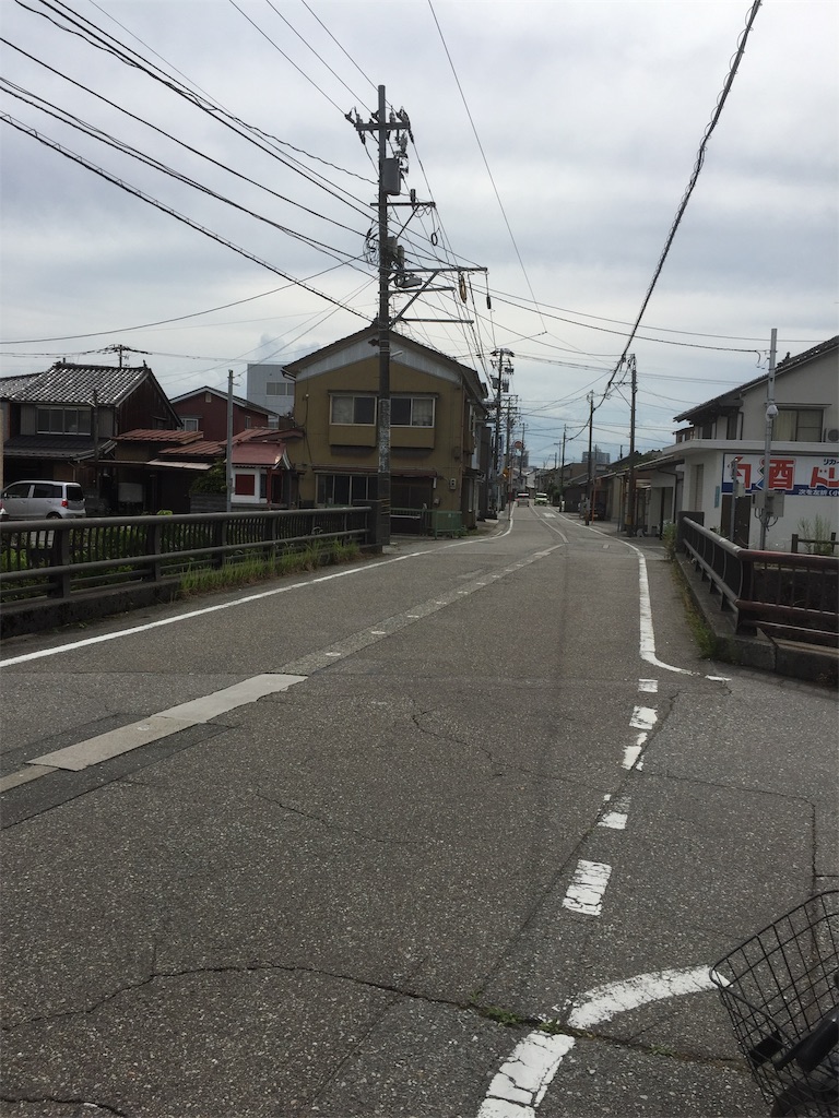 f:id:BorderCollieLeon:20210703170926j:image