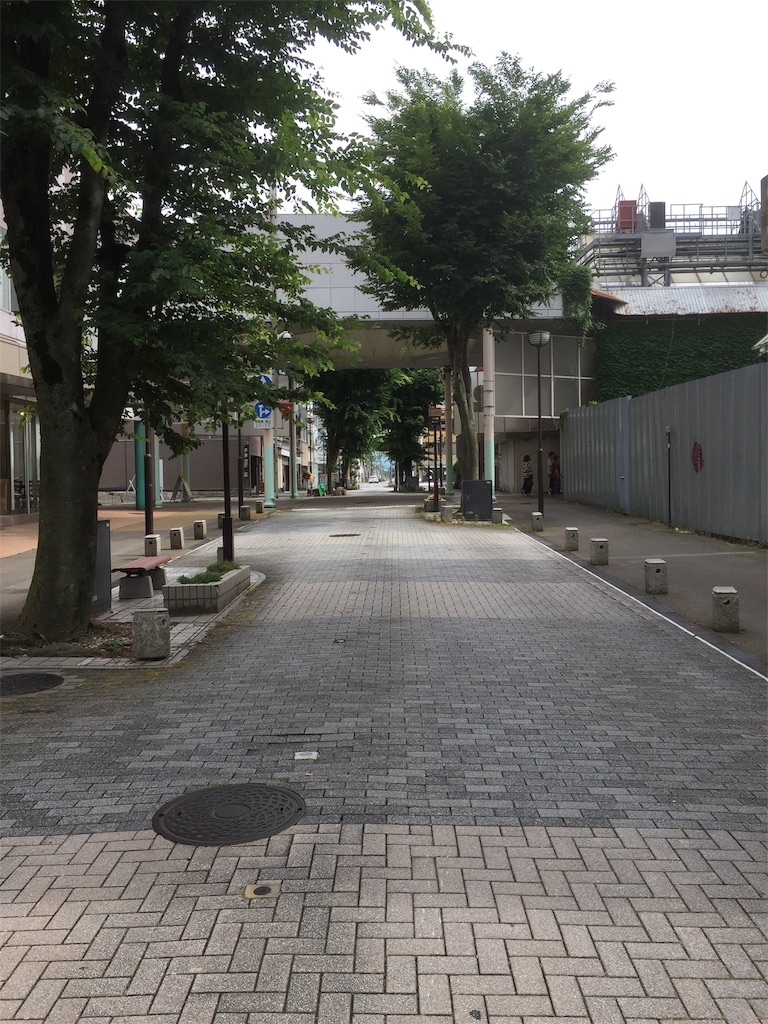 f:id:BorderCollieLeon:20210703172615j:image