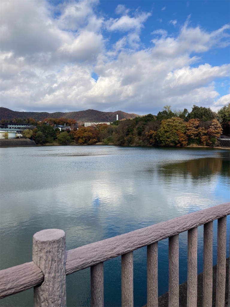 f:id:BorderCollieLeon:20241222074114j:image