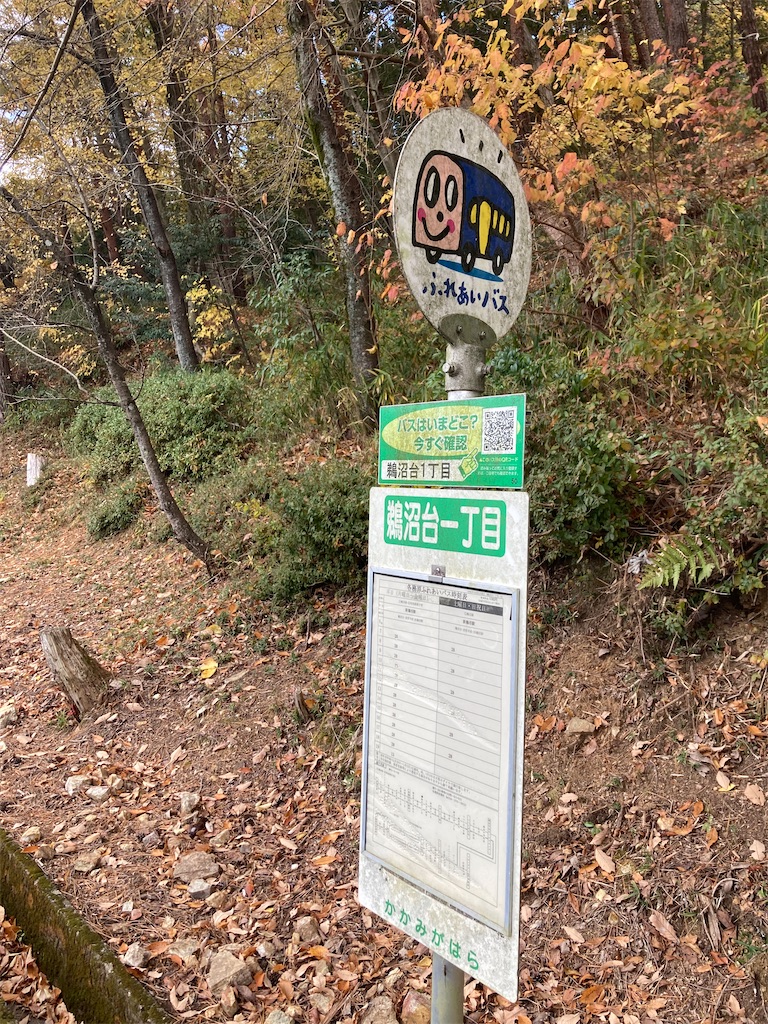 f:id:BorderCollieLeon:20241222074246j:image