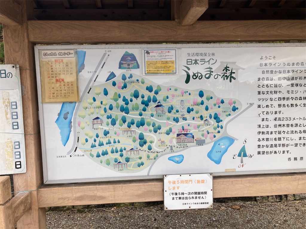 f:id:BorderCollieLeon:20241222075120j:image