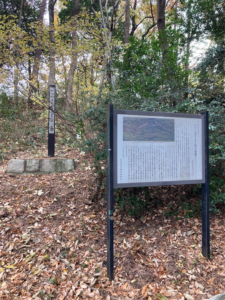 f:id:BorderCollieLeon:20241222075232j:image