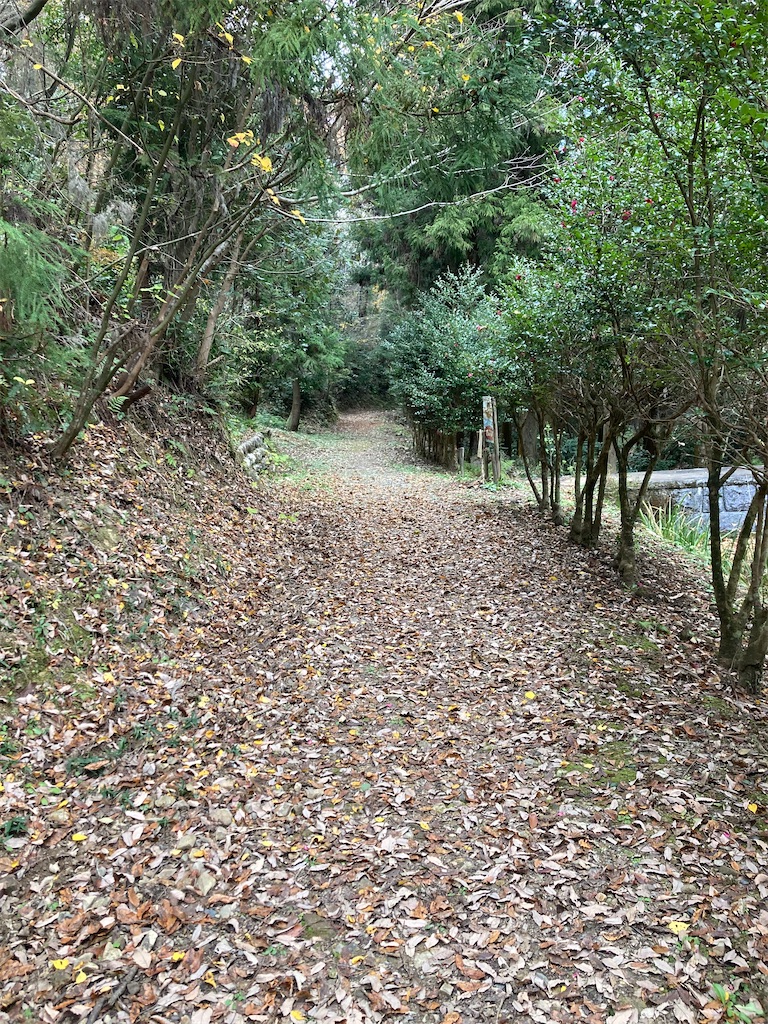 f:id:BorderCollieLeon:20241222075925j:image