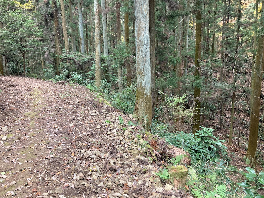 f:id:BorderCollieLeon:20241222075954j:image