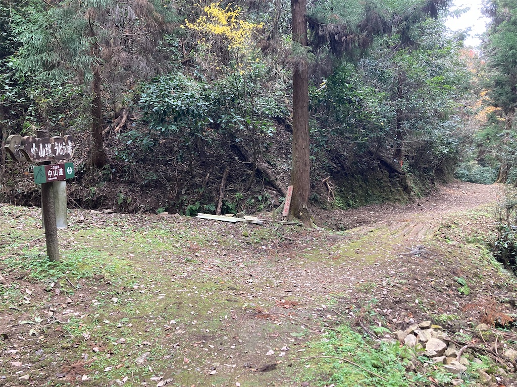 f:id:BorderCollieLeon:20241222075958j:image