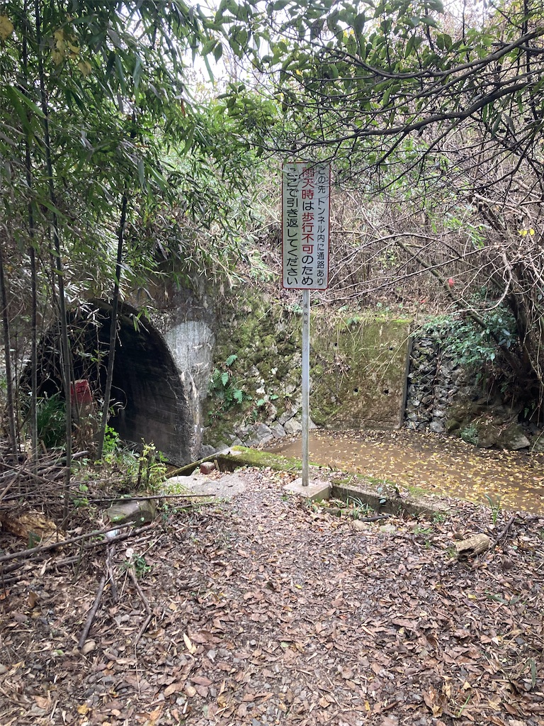 f:id:BorderCollieLeon:20241222080722j:image