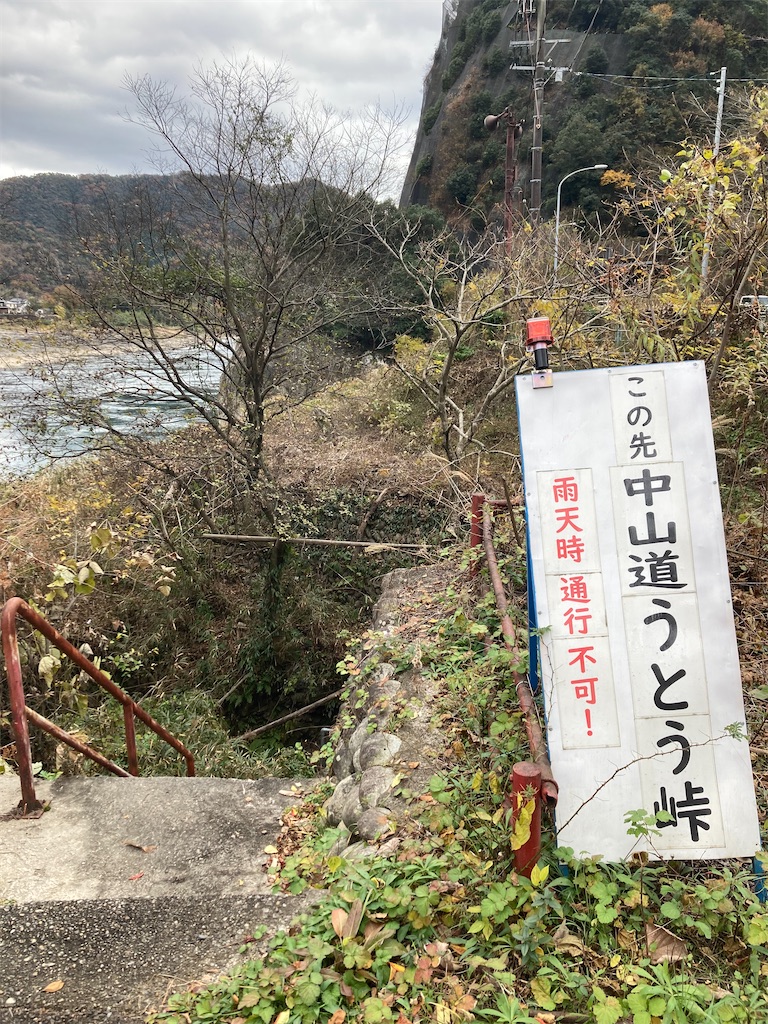 f:id:BorderCollieLeon:20241222081042j:image