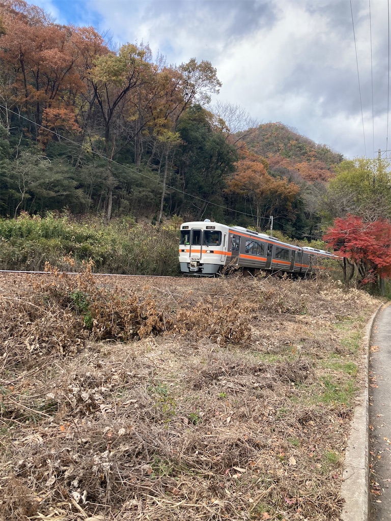 f:id:BorderCollieLeon:20241222081609j:image