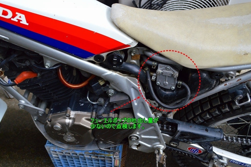 TLR250R 乗り出し整備① (オイル交換、燃料ポンプ整備、フロント TLR250R 乗り出し整備① (オイル交換、燃料ポンプ整備、フロント