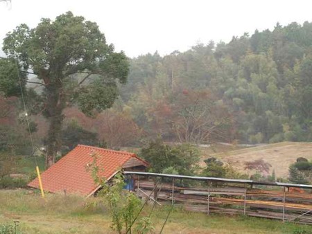 f:id:Bosque:20061012062531j:image