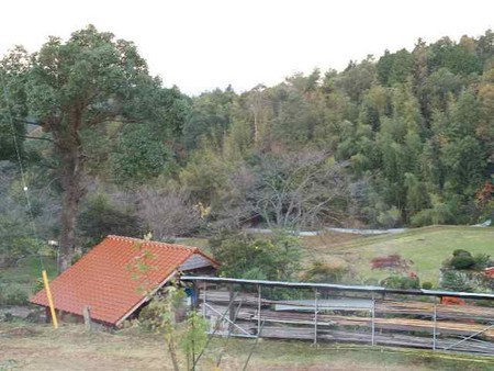 f:id:Bosque:20061112065731j:image