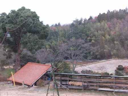 f:id:Bosque:20071218070327j:image
