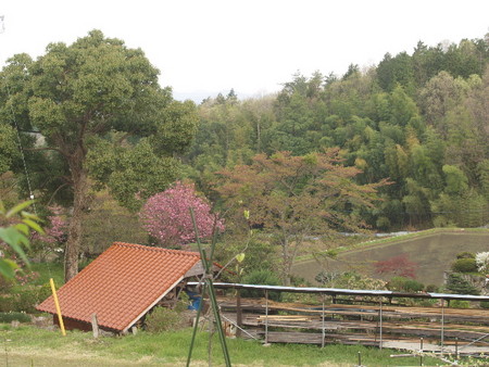 f:id:Bosque:20080423064350j:image