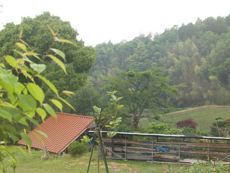 f:id:Bosque:20080523064759j:image